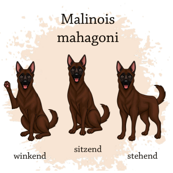 Preview: Motivauswahl der Dokumentenhülle für die Hunderasse Malinois mahagoni